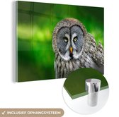 MuchoWow - Glasschilderij - Foto op glas - Vogel - Uil - Dieren - Acrylglas - 60x40 cm - Slaapkamer - Glasschilderij vogels - Glasschilderij uil - Wanddecoratie glas