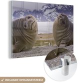 MuchoWow® Peinture sur verre 180x120 cm - Peinture sur verre acrylique - Sceaux - Drôle - Enfants - Garçons - Filles - Enfant - Photo sur verre - Peintures