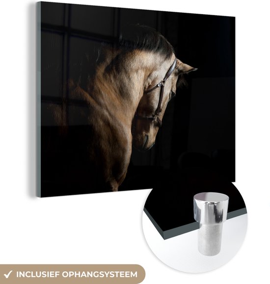 MuchoWow® Glasschilderij - Paarden - Halster - Zwart - Acrylglas Schilderijen - Foto op Glas