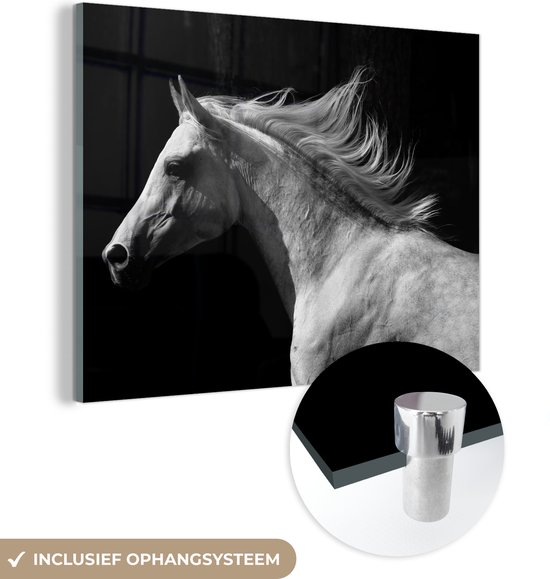 MuchoWow® Glasschilderij 80x60 cm - Schilderij acrylglas - Paarden - Boerderijdier - Manen - Foto op glas - Schilderijen