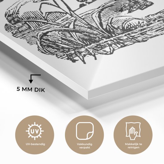 MuchoWow® Peinture sur verre 160x120 cm - Peinture sur verre acrylique - Illustration d'un tapir dans un champ en noir et blanc - Photo sur verre - Peintures