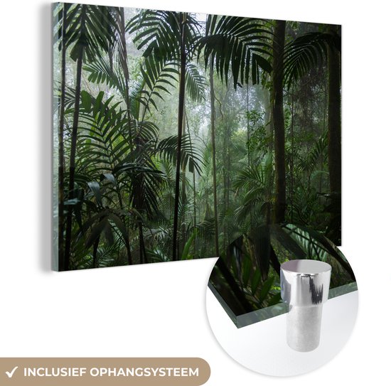 MuchoWow® Peinture sur Verre - Forêt Tropicale - Tropical - Jungle - Arbres - Plantes - 150x100 cm - Peintures sur Verre Acrylique - Photo sur Glas