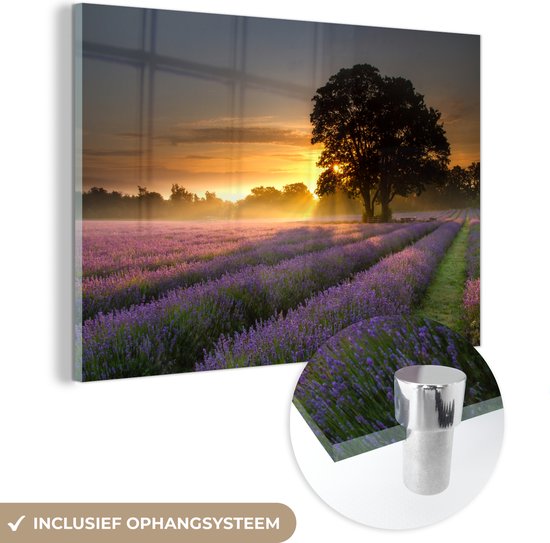 MuchoWow® Glasschilderij 90x60 cm - Schilderij acrylglas - Mayfield lavendel veld met een mistige zonsopgang - Foto op glas - Schilderijen