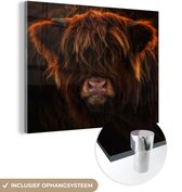 MuchoWow® Peinture sur Verre - Highlander écossais - Vache - Zwart - Portrait - 120x90 cm - Peintures sur Verre Acrylique - Photo sur Glas