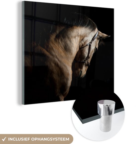 MuchoWow® Glasschilderij - Paarden - Halster - Zwart - Acrylglas Schilderijen - Foto op Glas