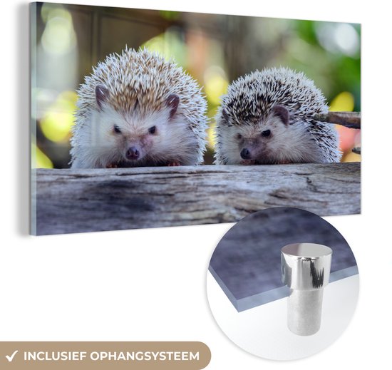 Peinture sur verre - Deux hérissons assis sur une branche - 80x40 cm - Peintures Plexiglas