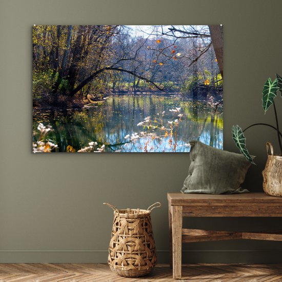 Acrylglas schilderij van een rivier in een herfstbos. Zonnestralen breken door de bomen. Duidelijke reflecties in het water.