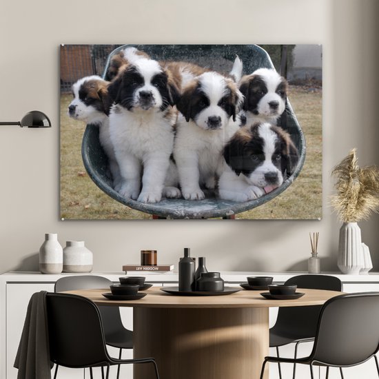 Peinture sur verre - Brouette avec chiots Saint Bernard - 90x60 cm - Peintures sur Verre Peintures - Photo sur Glas