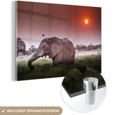 MuchoWow® Glasschilderij 120x80 cm - Schilderij acrylglas - Grazende olifant - Foto op glas - Schilderijen
