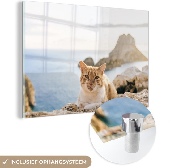 MuchoWow® Glasschilderij 90x60 cm - Schilderij acrylglas - Kat in Ibiza - Foto op glas - Schilderijen