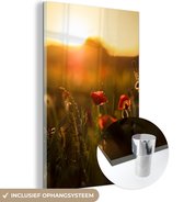 MuchoWow® Glasschilderij 80x120 cm - Schilderij acrylglas - Klaproos - Zonsondergang - Goud - Foto op glas - Schilderijen