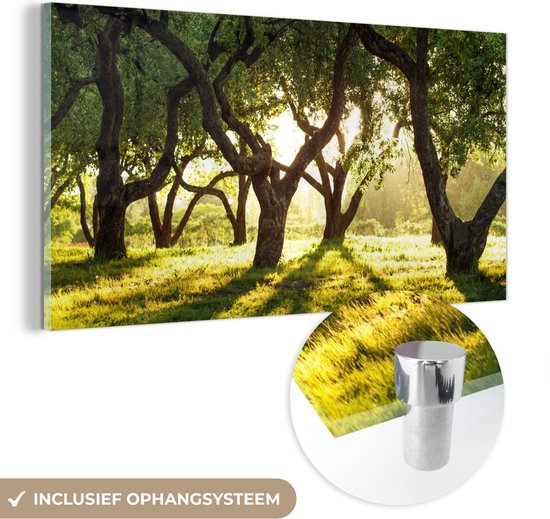 MuchoWow® Glasschilderij 40x20 cm - Schilderij acrylglas - Bomen - Natuur - Zon - Foto op glas - Schilderijen