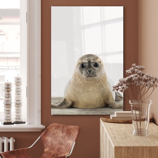 MuchoWow® Peinture sur verre 60x90 cm - Peinture sur verre acrylique - Sceau - Animaux - Enfant - Garçons - Filles - Enfants - Photo sur verre - Peintures