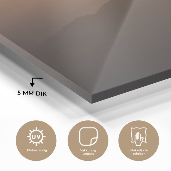 MuchoWow® Peinture sur verre 160x120 cm - Peinture sur verre acrylique - Pygargue à queue blanche - Voler - Nature - Soleil - Lumière - Vogels - Photo sur verre - Peintures