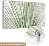 MuchoWow® Glasschilderij 160x80 cm - Schilderij acrylglas - Groen - Bladeren - Natuur - Foto op glas - Schilderijen