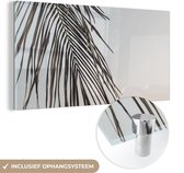 MuchoWow® Glasschilderij 160x80 cm - Schilderij acrylglas - Bladeren - Zomer - Palmblad - Tropisch - Foto op glas - Schilderijen