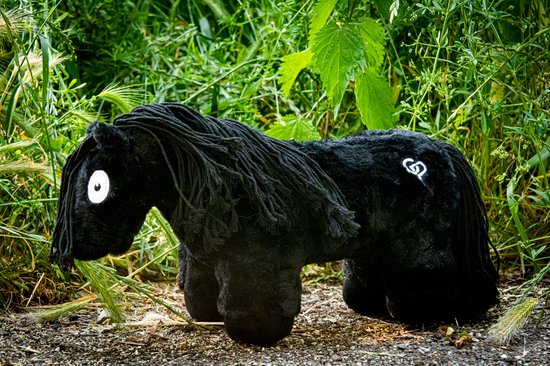 Zwarte knuffelpony met logo op de flank, in de natuur met gras en takken.