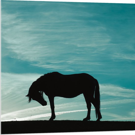 Acrylglas - Silhouet van Buigend Paard onder Stralend Blauwe Lucht - 80x80 cm Foto op Acrylglas (Met Ophangsysteem)