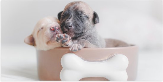 Poster Glanzend – Twee Puppy's Slapend in Bruine Voerbak met Bot - 100x50 cm Foto op Posterpapier met Glanzende Afwerking