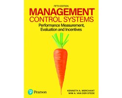 Management Control Systems