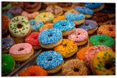 Dibond - Rij Verse Donuts met Verschillende Kleuren Sprinkles - 60x40 cm Foto op Aluminium (Wanddecoratie van metaal)