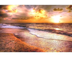 Tuinposter - Zee - Strand in wit / zwart / bruin / geel / oranje - 60 x 90 cm