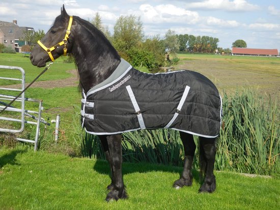 Staldeken luxe met fleecekraag (300gr) goedkopepaardendekens zwart met grijs - maat 215 Staldeken luxe met fleecekraag (300gr) goedkopepaardendekens zwart met grijs - maat 215