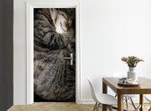 Easy Doorsticker XL - Slapende Poes