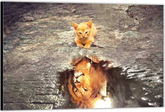 Dibond –Kitten in de Weerspiegeling Leeuw– 40x30 Foto op Aluminium (Wanddecoratie van metaal)