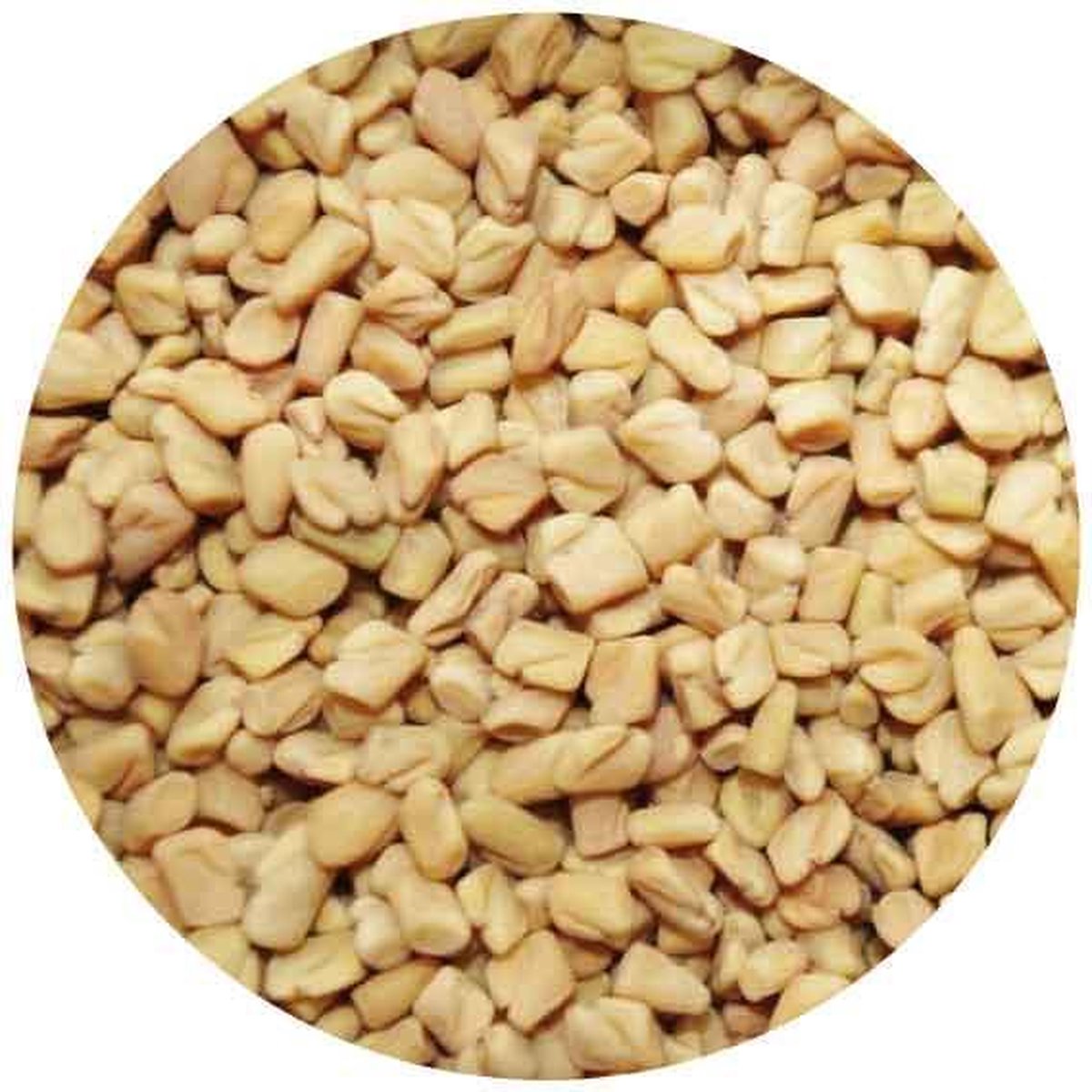 Gaiagoods Fenegriek Kiemzaden - 100 gram - Rijk aan Vitamine A, B1, B2, B3 en B5 - Zaad