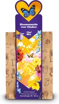 Bloemenweide kraft zadenmix Meerjarig 15m2