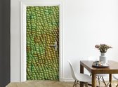 Easy Doorsticker XL - Hagedis