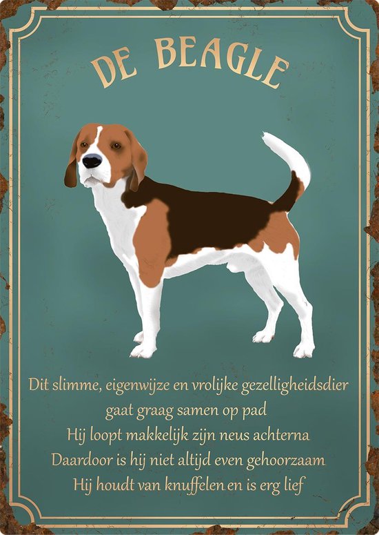 Wandbord 'Beagle'
