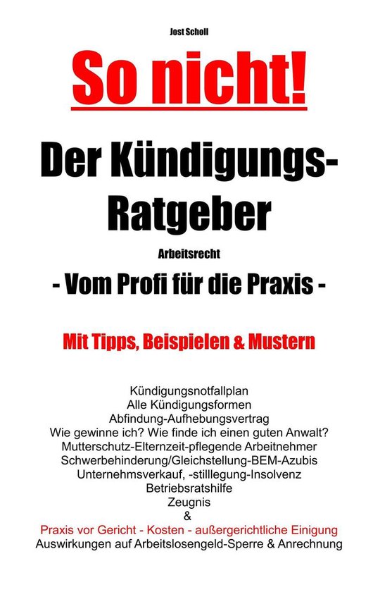So nicht! Der Kündigungs-Ratgeber Arbeitsrecht - cover