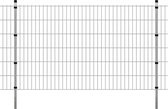 Dubbelstaafmatten en palen 2008x1230 mm 2 m zilverkleurig