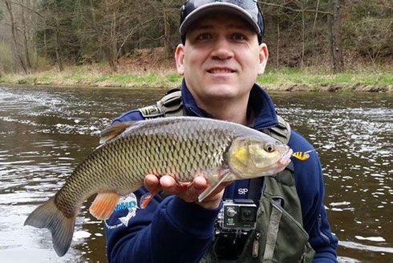 SpinMad CMA - 2.5 cm - zilver van Spinmad — afbeelding 3