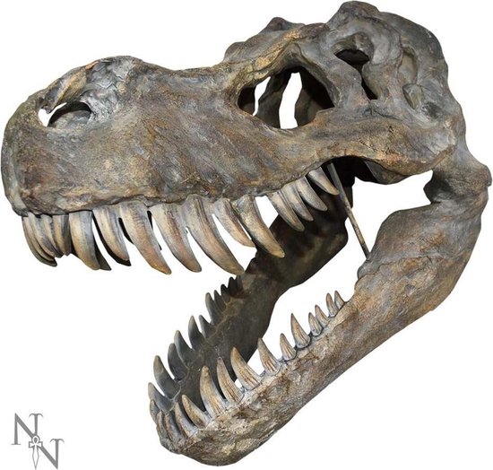 Tyrannosaurus Rex Dinosaurus Speelgoed Figuur Geïsoleerd Op Witte Achtergrond Stockfoto en meer beelden van Speelgoed - iStock