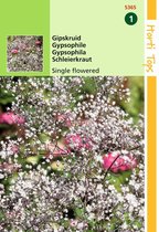 2 stuks Hortitops Gypsophila Panic. Enkelbl. Wit