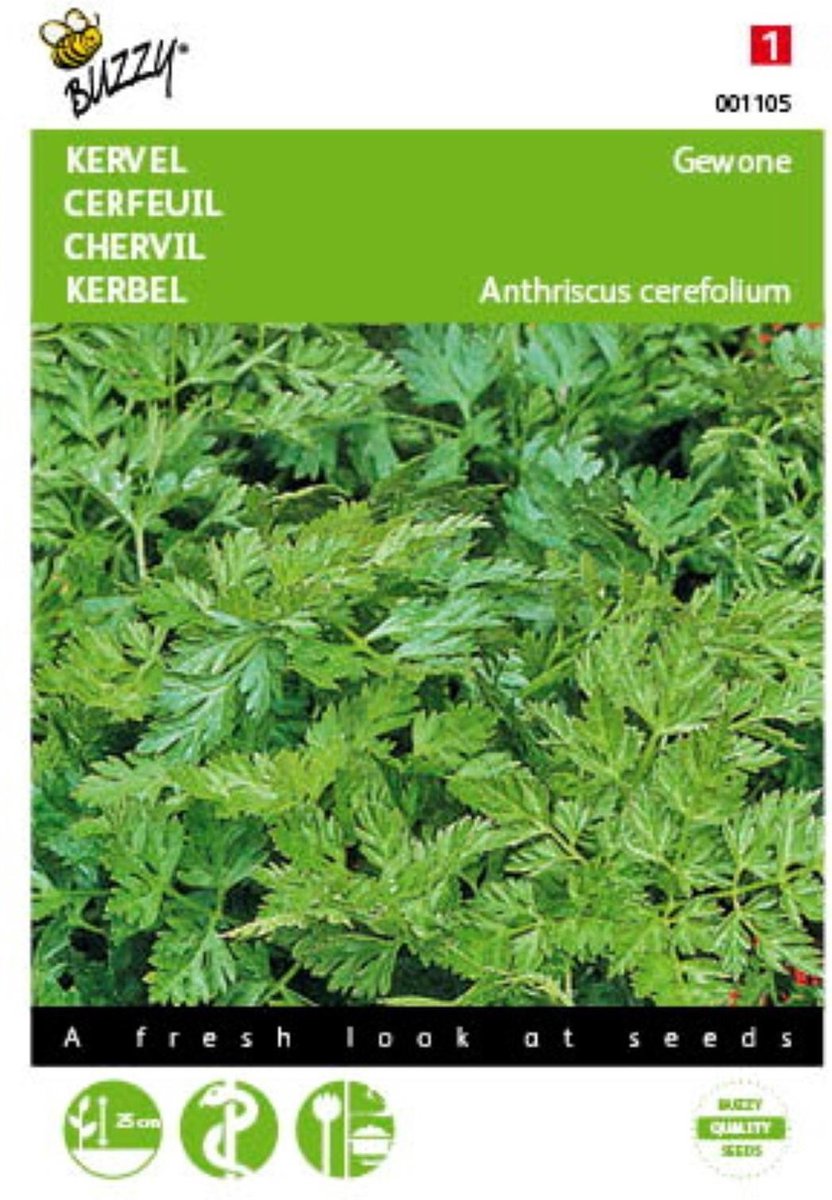 2 stuks Kervel Gewone (Anthriscus cerefolium)