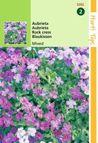 2 stuks - Hortitops - Aubrietia Hybrida Grandiflora Gemengd