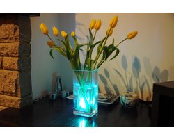 Aqua Mood waterdichte onderwater verlichting voor aquarium, bad, jacuzzi en of bloemen vaas. Aurela