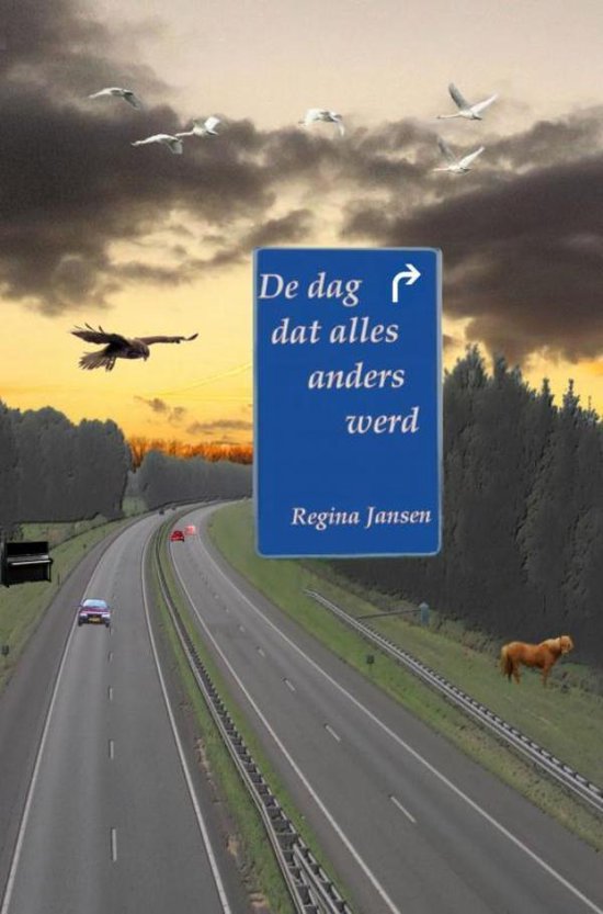 De dag dat alles anders werd, Regina Jansen 9789463988063 Boeken