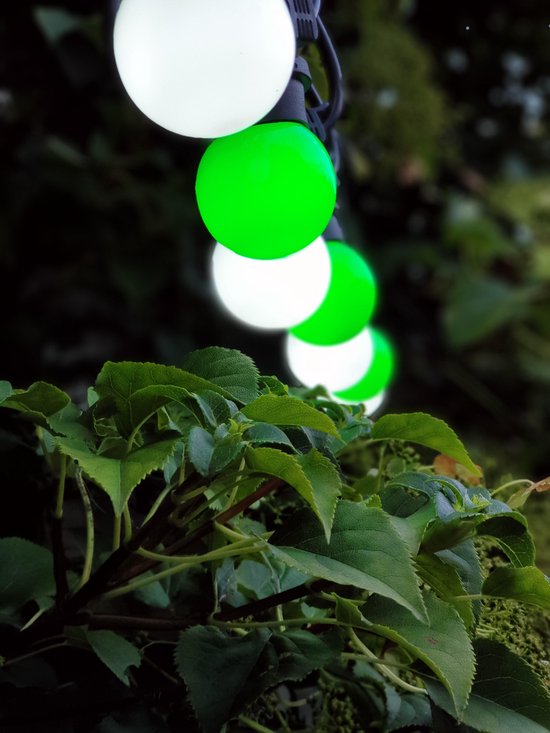 Cordon d'éclairage extérieur HappyLights [Plein air] Lucky Leaf - 50 LED - 25m