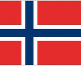 20x Binnen en buiten stickers Noorwegen 10 cm - Noorse vlag stickers - Supporter feestartikelen - Landen decoratie en versieringen