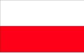 20x Binnen en buiten stickers Polen 10 cm -  Poolse vlag stickers - Supporter feestartikelen - Landen decoratie en versieringen