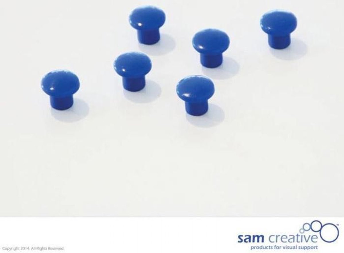 Set magneten 10mm blauw