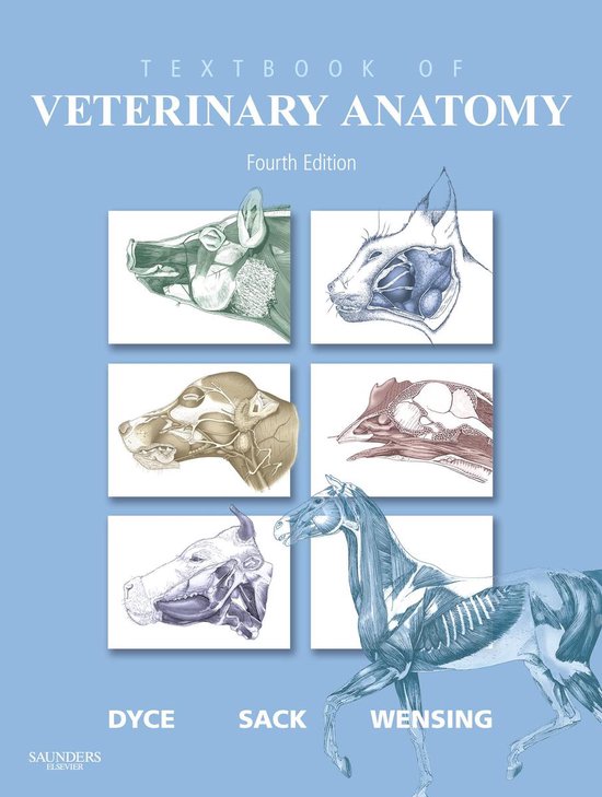 Textbook of Veterinary Anatomy, - cover