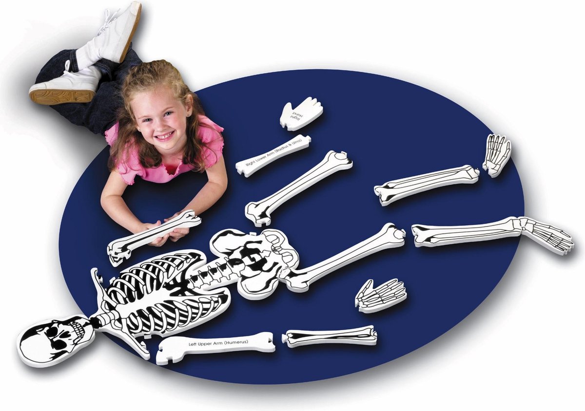 Learning Resources vloerpuzzel skelet (afmeting: 1,22 m) - 3+