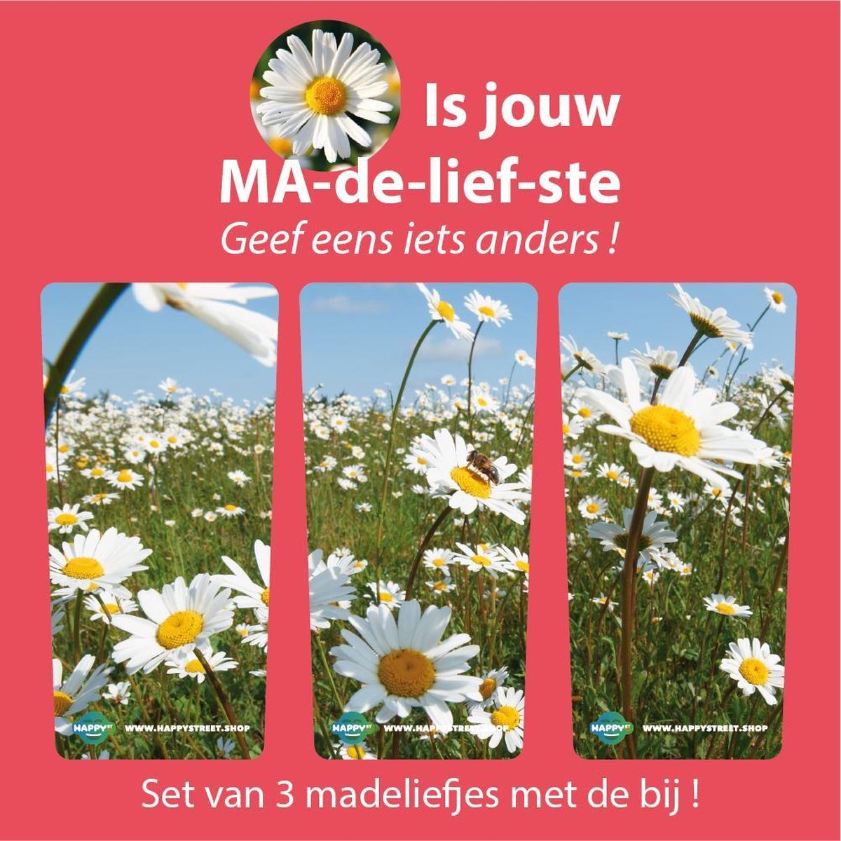 Klikosticker Madeliefjes met Bij, set van 3 stuks, inclusief bezorgkosten