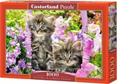 Castorland Kittens in summer garden 1000 stukjes